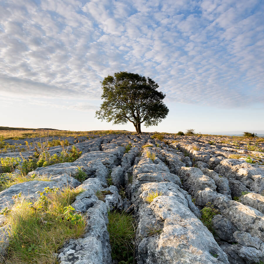 Yorkshire Fabulous Holiday Cottages