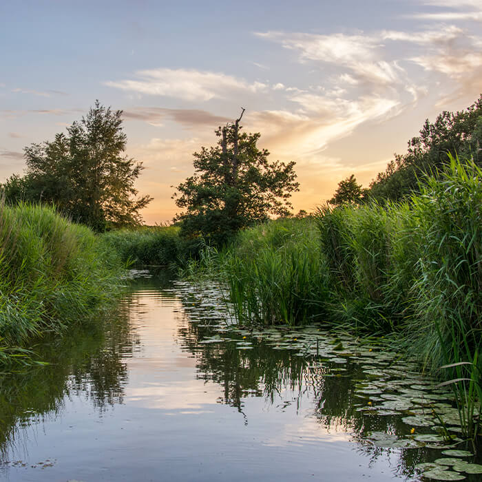 Fabulous Rural Norfolk Holiday Cottages