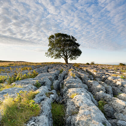 Yorkshire Holiday Cottages