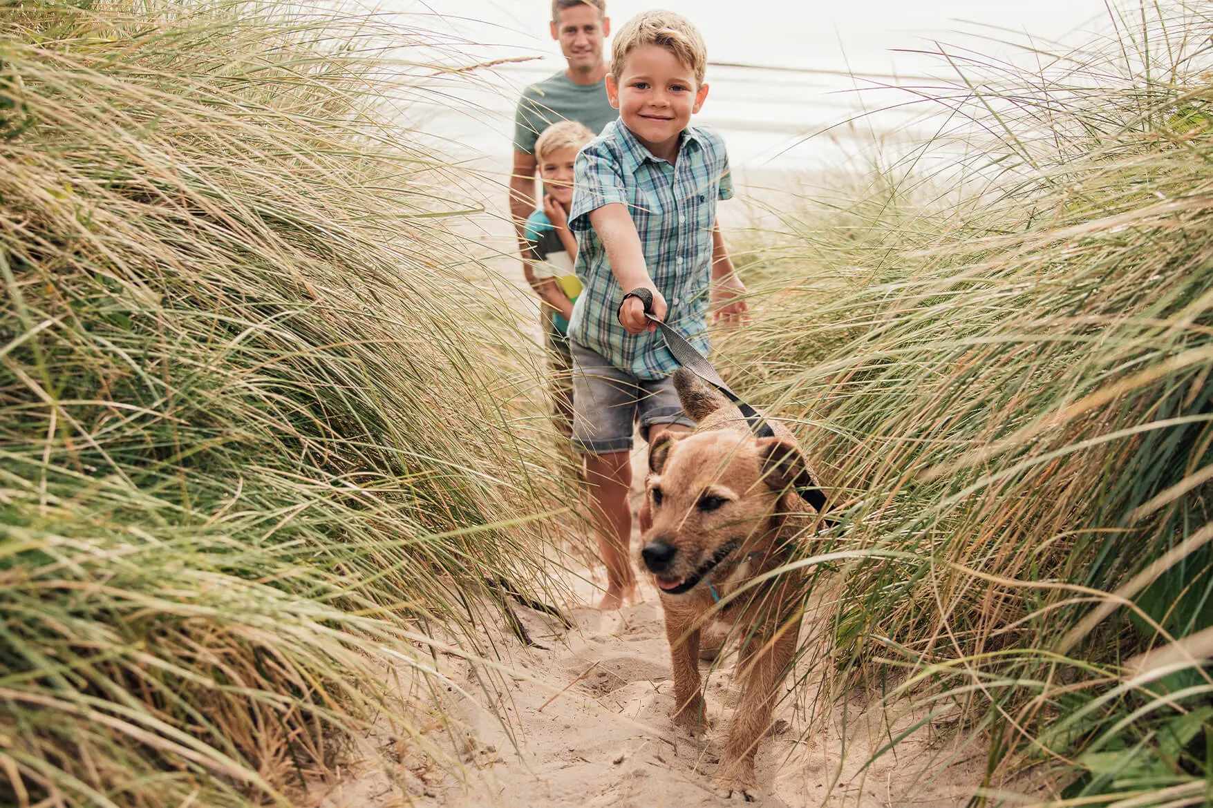 The ultimate guide to dog-friendly beaches in fabulous Norfolk