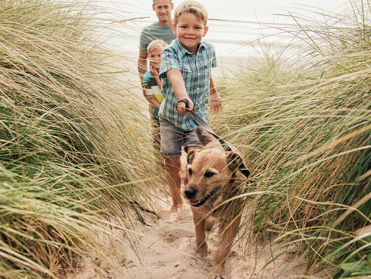 Best Dog Friendly Cottage for Holidays in Fabulous Norfolk