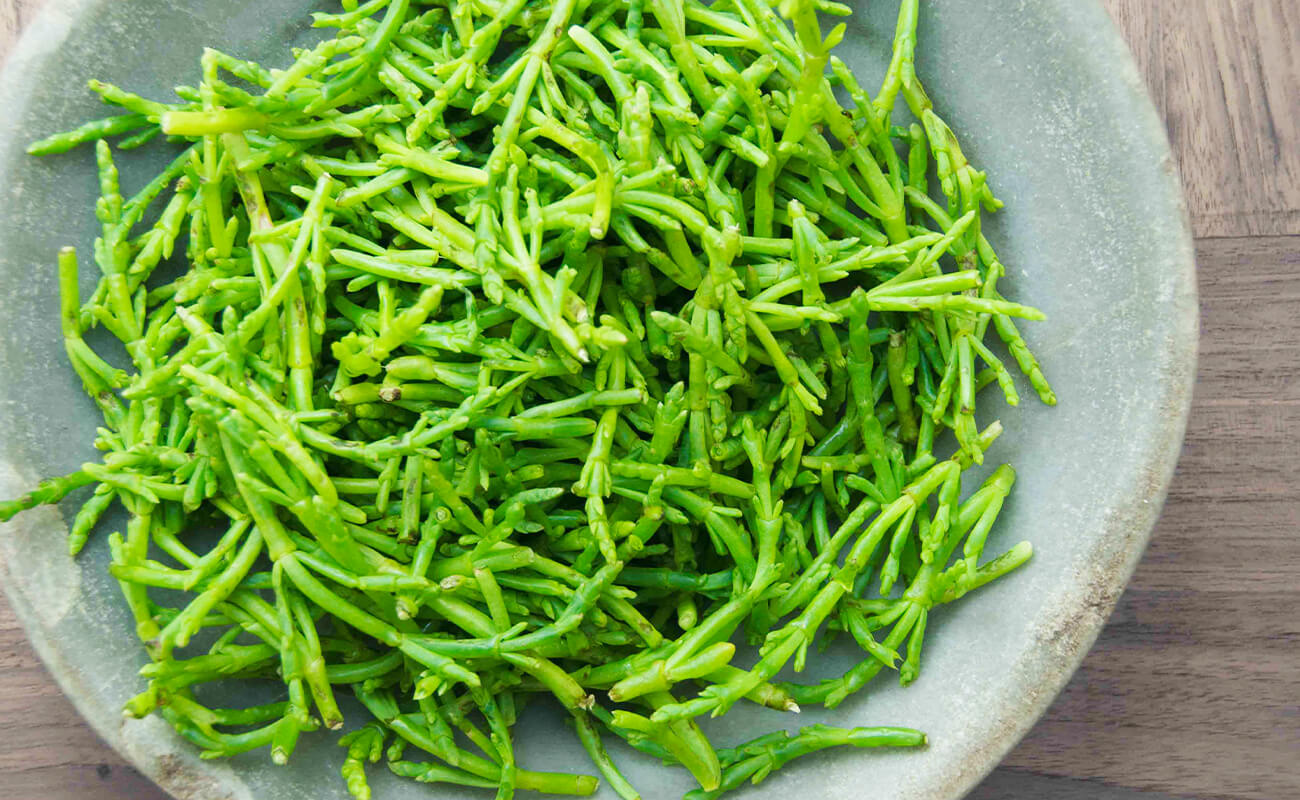 Norfolk Marsh Samphire Our Top 8 Must Eat Fabulous Norfolk Foods