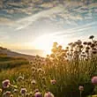 North Norfolk fabulous holiday cottages